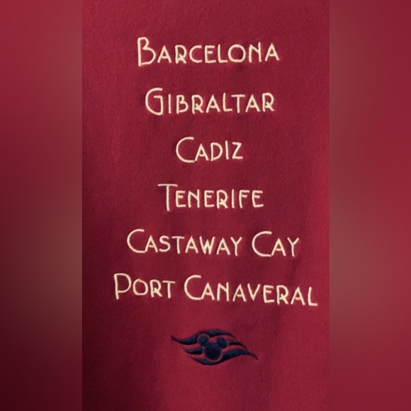 DISNEY CRUISE LINE TRANSATLANTIC UNISEX EMBROIDERED SWEATSHIRT - Picture 3 of 12